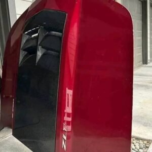 2010_15 Zl1 hood