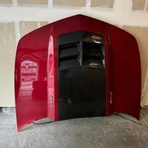2010_15 Zl1 hood