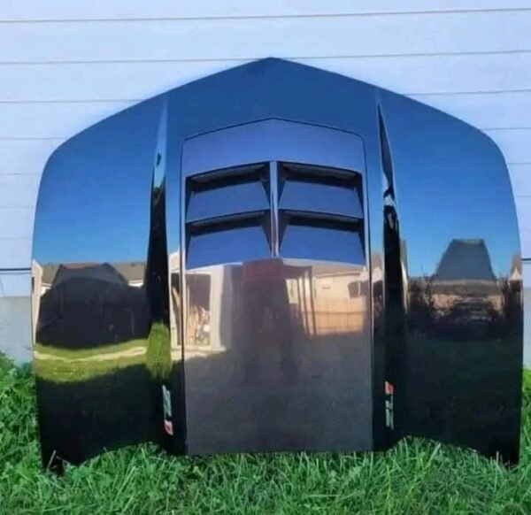 ZL1 hood