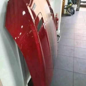 07-03 2018 mustang gt hood, ruby red.
